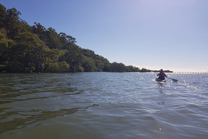 Raby Bay Wildlife Kayak Tour - FAQ