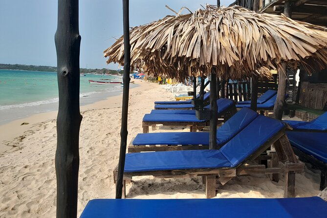 raccoon-sighting-at-playa-tranquila-baru
