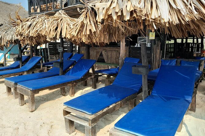 raccoon-sighting-at-playa-tranquila-baru