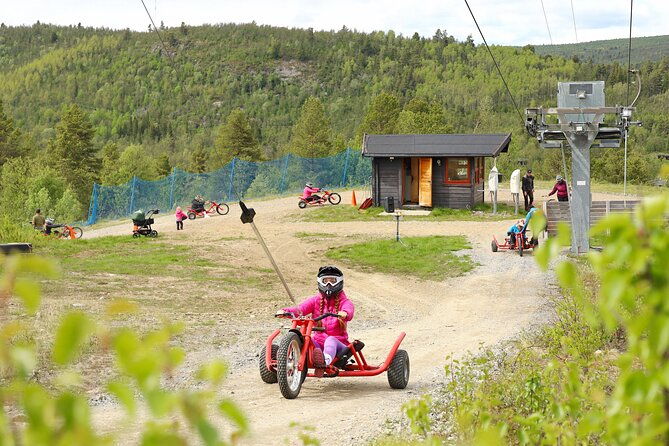 racing-mountain-cart-in-dagali-near-geilo-norway