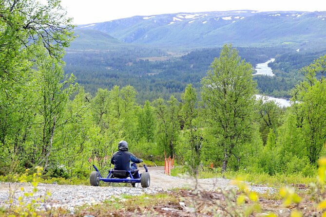 racing-mountain-cart-in-dagali-near-geilo-norway