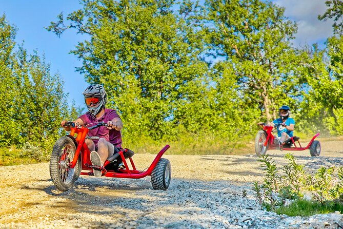 racing-mountain-cart-in-dagali-near-geilo-norway