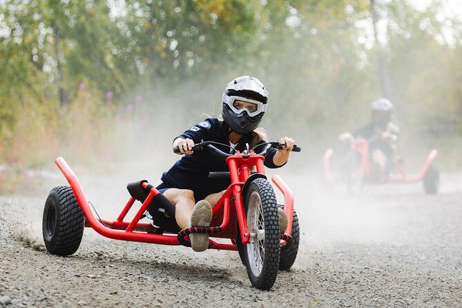 racing-mountain-cart-in-dagali-near-geilo-norway