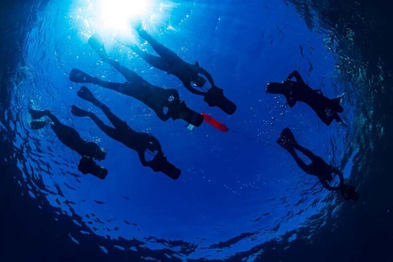 Radazul: Family-Friendly Jet Snorkeling Tour - FAQ