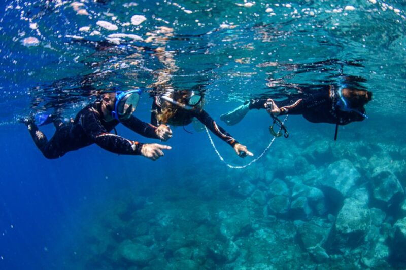 radazul-family-friendly-snorkeling-tour