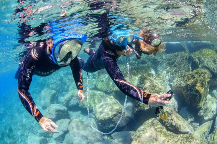 radazul-family-friendly-snorkeling-tour