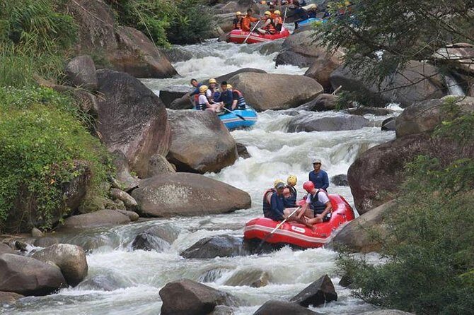 Rafting 5 km, ATV 30 Mins, Fly Fox and Jungle Tour From Phuket - An In-Depth Look at the Experience