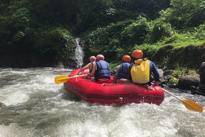Rafting Adventure 18 km and Balinese Village Life Tour with Lunch - What Could Be Better?