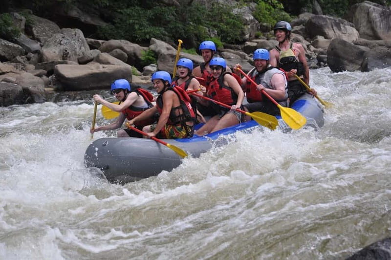 Rafting Tour, Transfer & Combo Options with Veg Lunch Option - Transportation and Operational Details