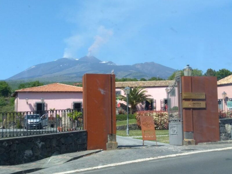 ragalna-etna-wine-tasting-experience-with-sicilian-food