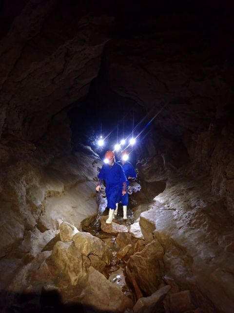 Raglan: Guided Cave Adventure with Glow Worms - What to Expect from Your Cave Adventure