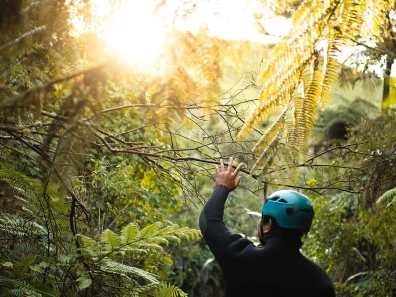 Raglan: Karioi Canyoning - What to Expect from Your Karioi Canyoning Adventure