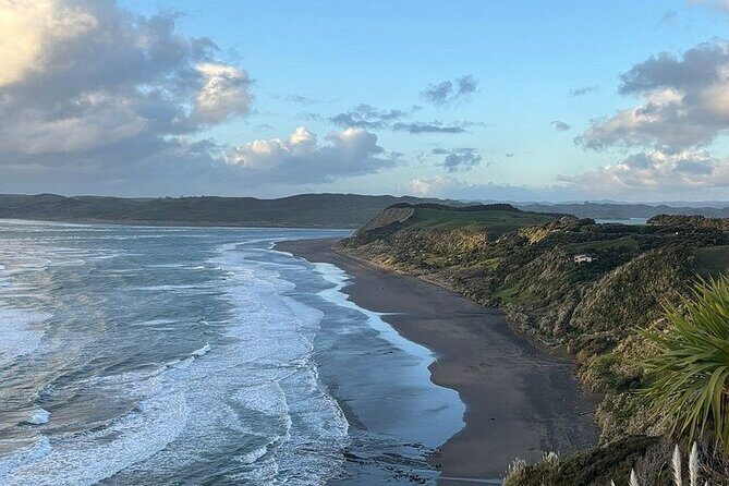 Raglan New Zealand Adventure Tour from Auckland - The Itinerary: What to Expect on Your Raglan Adventure