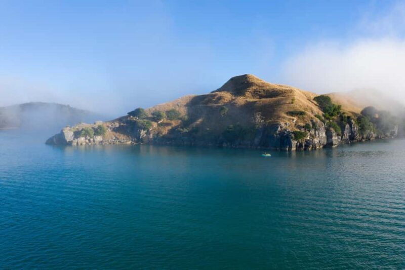 Raglan: Scenic Harbour Sunset Cruise - Key Points