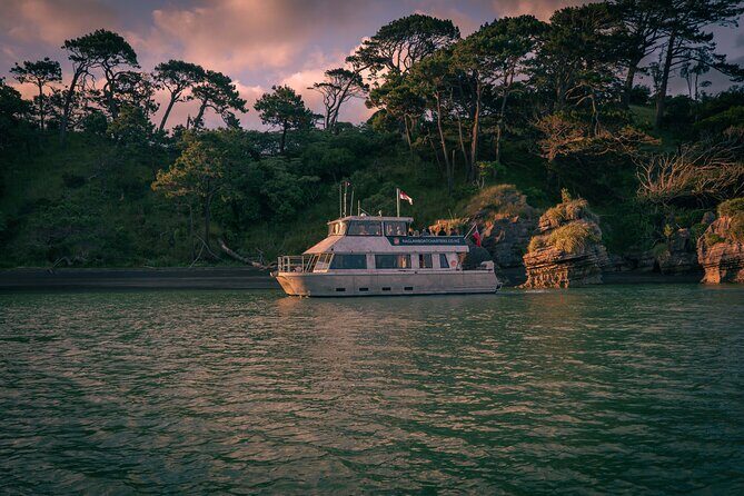 Raglan Scenic Nature Boat Cruise - Key Points