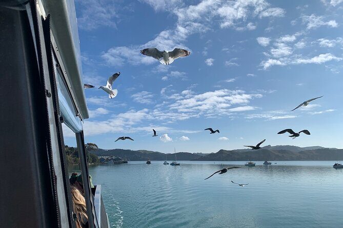 Raglan Scenic Nature Boat Cruise - Final Thoughts