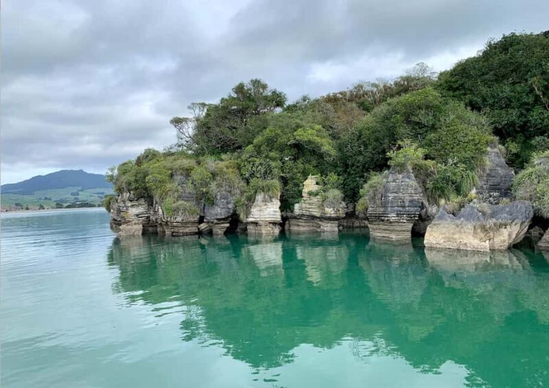 Raglan: Scenic Nature Boat Cruise - An In-Depth Look at the Raglan Scenic Nature Boat Cruise