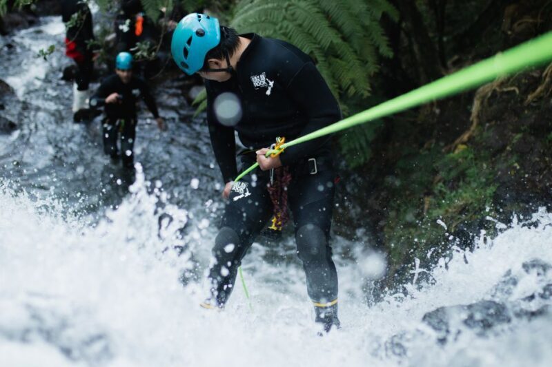 Raglan: Sunset Canyoning Tour and Glowworm Experience - Introduction to the Experience