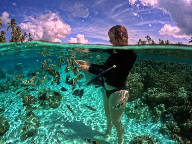 Raiatea: Boat tours and swimming around Tahaa Island. - Key Points