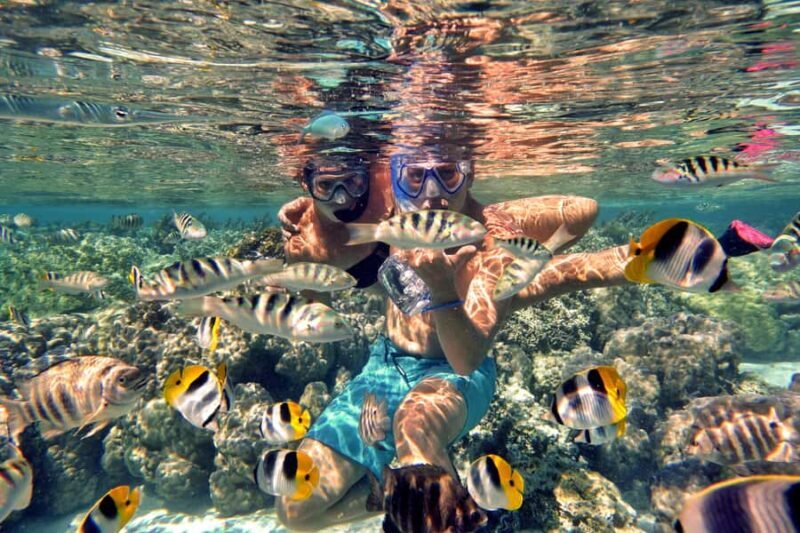 Raiatea: Boat tours and swimming around Tahaa Island. - Exploring Tahaa in Depth