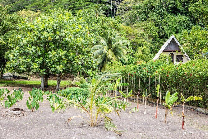 Raiatea & Tahaa Lagoon Cruise: Private Shore Tour - The Sum Up