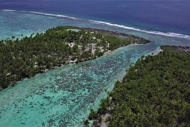 Raiatea-Tahaa Snorkeling in our beautiful Coral Garden - Authentic Experiences and Honest Opinions from Travelers
