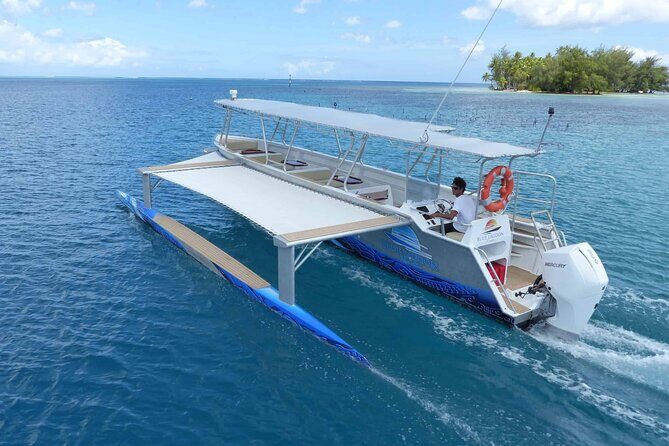 Raiatea-Tahaa Snorkeling in our beautiful Coral Garden - Final Thoughts: Is This Tour Right for You?