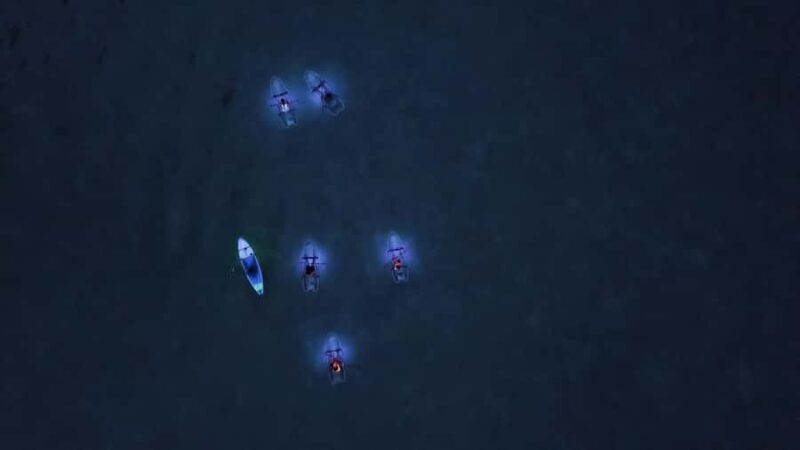 Railay: Illuminated Clear Kayak Night Tour Bioluminescence - Key Points