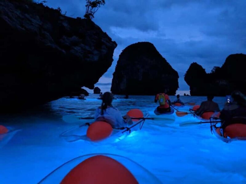 Railay: Illuminated Clear Kayak Night Tour Bioluminescence - What to Know Before Booking