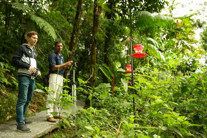 rain-forest-aerial-tram-private-tour-from-san-jose