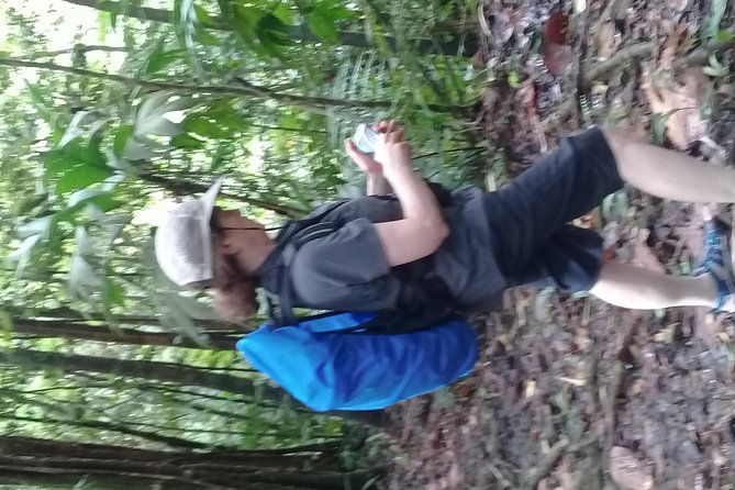 rain-forest-and-bird-watching