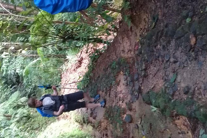 rain-forest-and-bird-watching