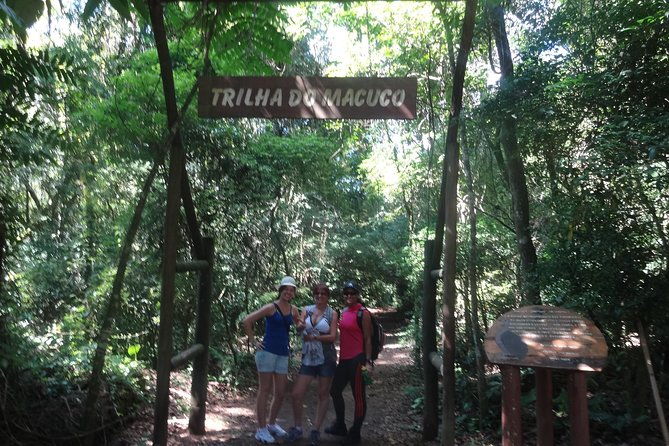 rain-forest-trail-cantareira-natural-park-from-sao-paulo