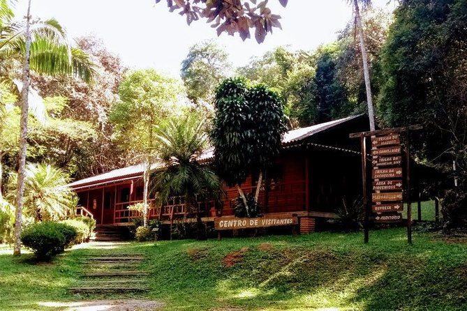 rain-forest-trail-cantareira-natural-park-from-sao-paulo