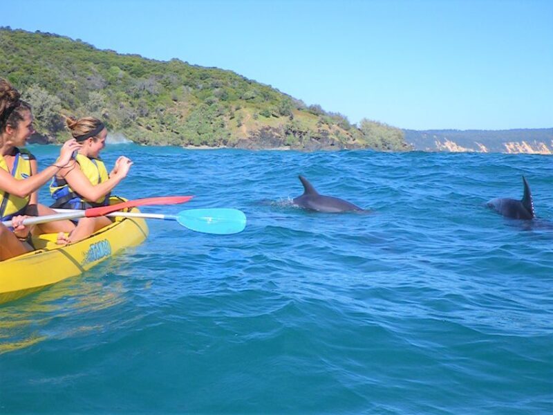 Rainbow Beach: Kayaking with Dolphins and Beach 4WD Tour - Key Points