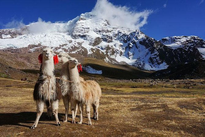 rainbow-mountain-and-red-valley-private-service