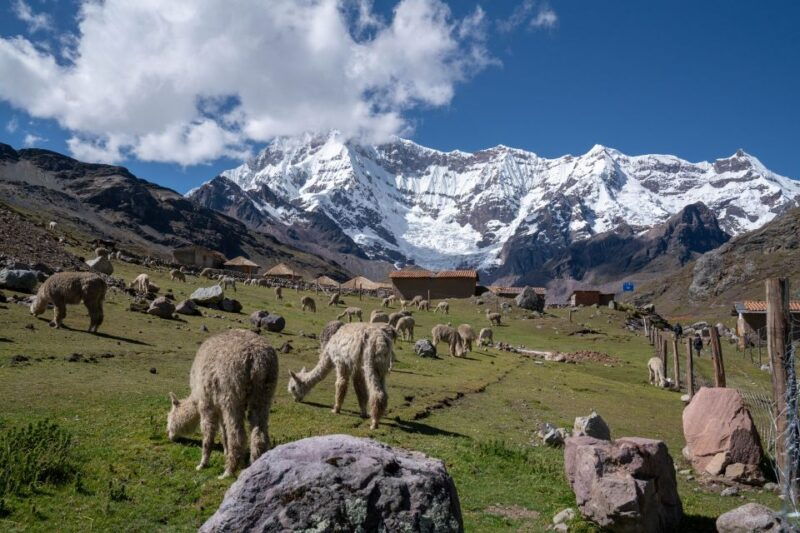 rainbow-mountain-cusco-tour-2