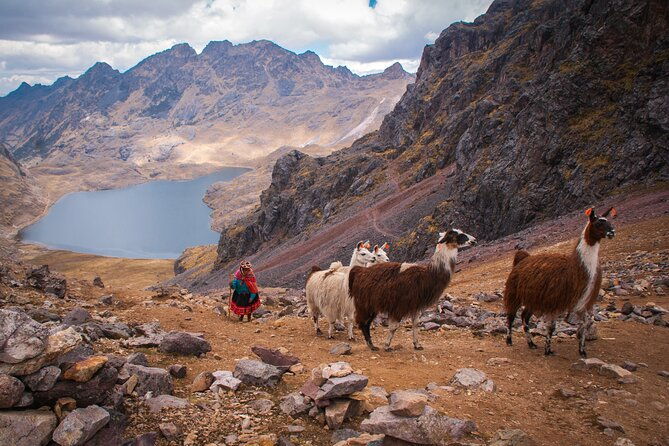 rainbow-mountain-day-tour-from-cusco