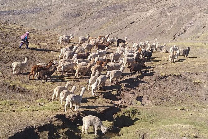 rainbow-mountain-full-day-hiking-tour