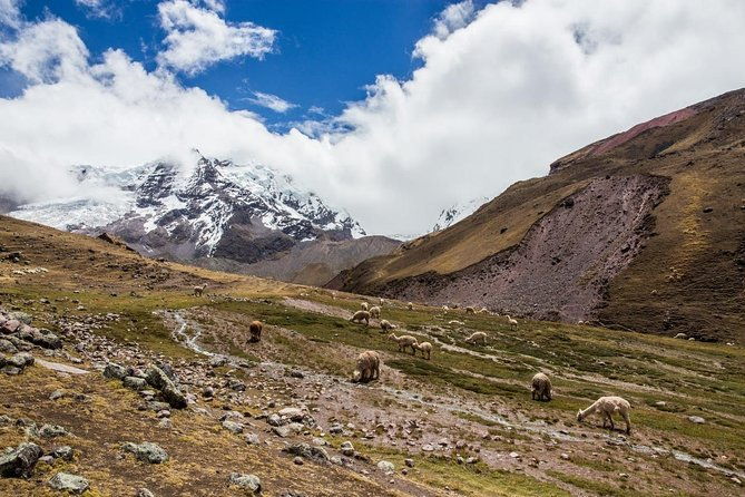 rainbow-mountain-group-service