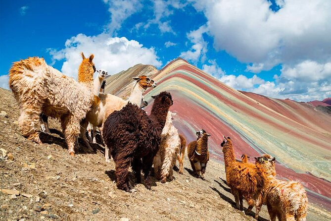 rainbow-mountain-in-one-day-from-cusco-private-service