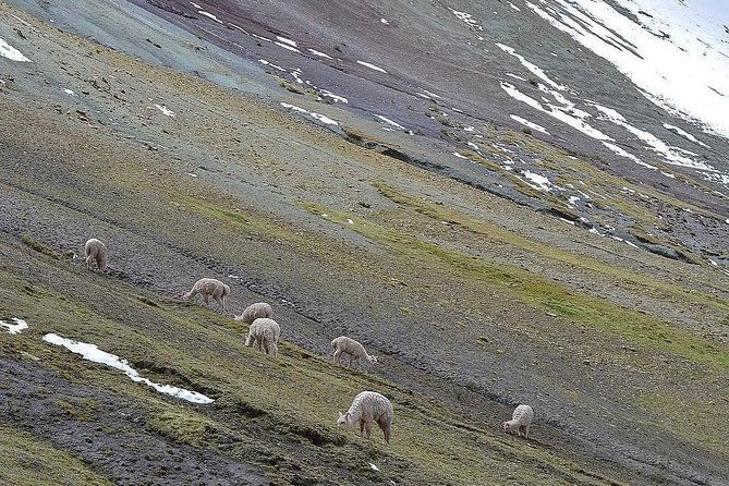 rainbow-mountain-palccoyo-by-car