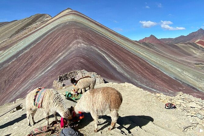 rainbow-mountain-tour-from-cusco-small-group