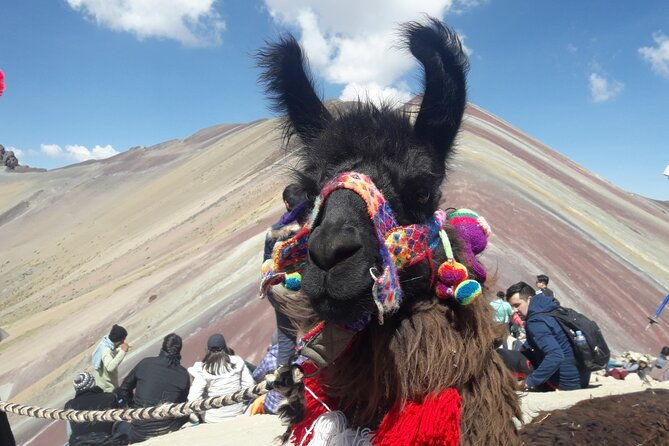 rainbow-mountain-tour-in-quad-bike-1-day