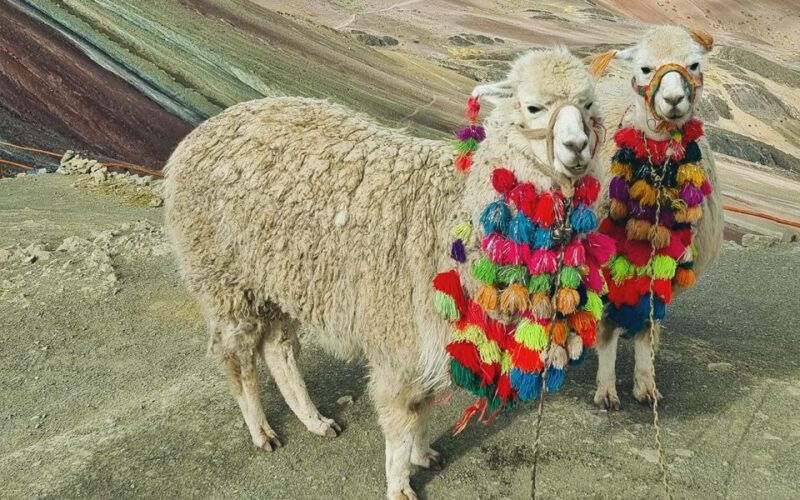 rainbow-mountain-trek-1-day