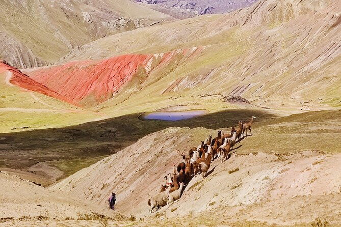 rainbow-mountains-of-palccoyo-day-trip