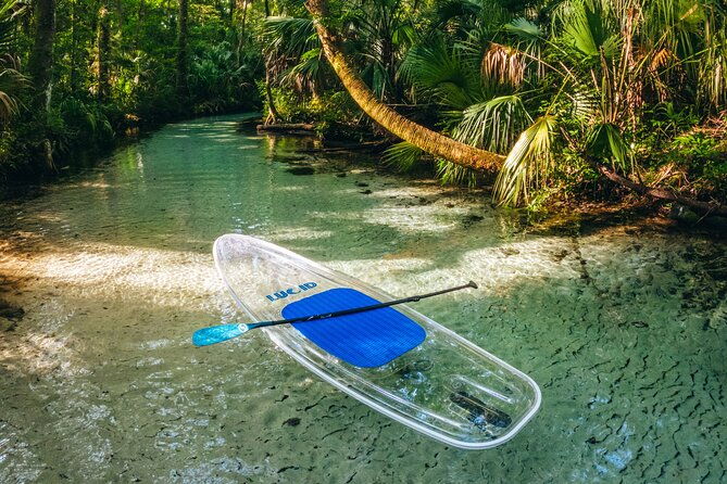 rainbow-springs-clear-kayak-snorkel-eco-tour-2