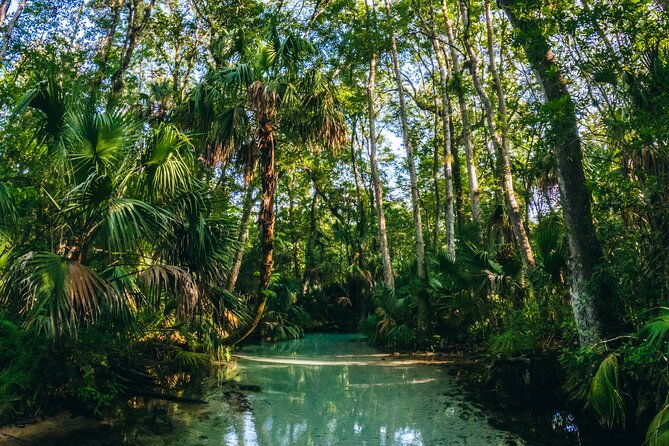 rainbow-springs-clear-kayak-snorkel-eco-tour