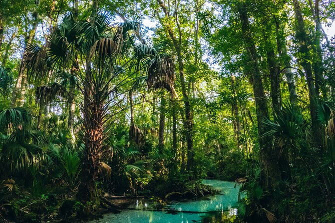 rainbow-springs-clear-kayak-snorkel-eco-tour