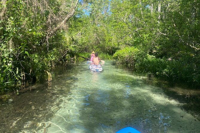 rainbow-springs-electric-paddle-tour